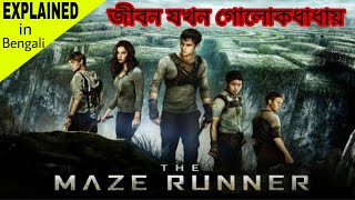 The Maze Runner Explained in Bengali   Hollywood M