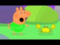 Kids First Peppa Pig En Español Nuevo Episodio 2x10 Español Latino