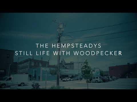 The Hempsteadys - Still Life With Woodpecker (Official Music Video)