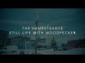 The Hempsteadys - Still Life With Woodpecker (Official Music Video)