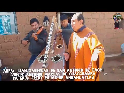 🌟HUAYNO ARPA Y VIOLIN CON GALANCITO DEL SUR 2021⭕🎶