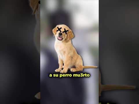 Se VENGÓ del ASESINO de su PERRO #sabiasque #shorts
