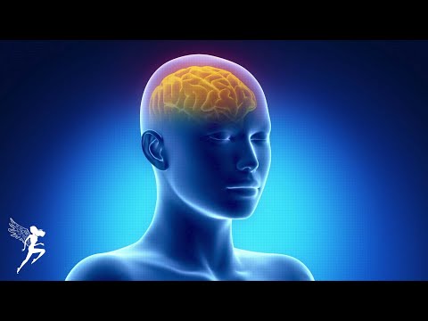 Whole Body Rejuvenation - Eliminates All Negative Energy, Healing Body, Mind and Spirit, 432 Hz