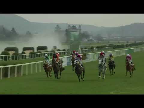 6. dostih (010101) 91. GOMBA HANDICAP -  Video záznam Gomba handicapu 2018 ve Velké Chuchli