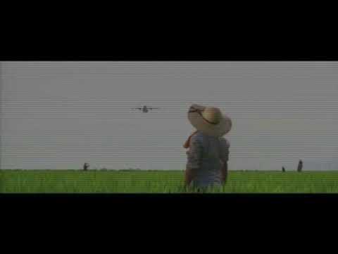 華麗的假期 May 18 | 預告 Trailer