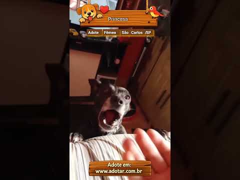 Vídeo de Princesa