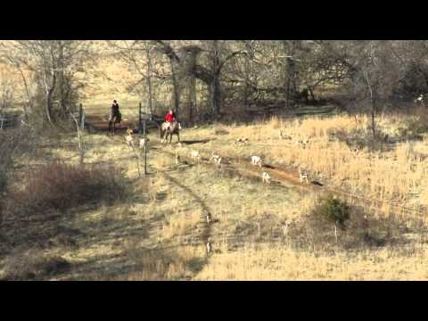 Best of the 2014-2015 Season...in Motion