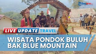 Bachril Bakri Kagum terhadap Wisata Pondok Buluh di Batang Asai: Bagaikan Blue Mountain di Australia