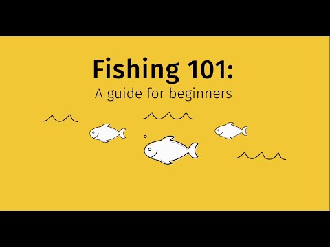Fishing 101: A guide for beginners