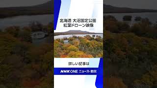 北海道 大沼国定公園 紅葉ドローン映像 | NHK | #shorts