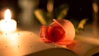 It&#39;s The Lover Not The Love   Tiffany    Lyrics