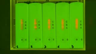 Bright-Detch applied to LFIA (rapid tests)