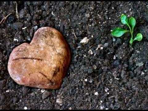 Amor Multiplicado Por Dos - David Demaria