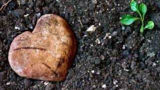 David de Maria -Amor Multiplicado Por Dos