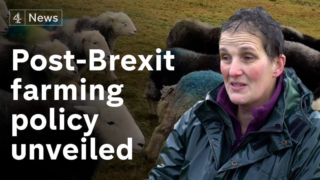 Farmers to be paid for improving wildlife under post-Brexit farming policy changes
