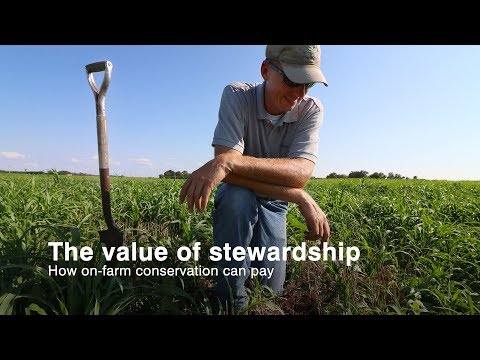 The Value of Stewardship — Leslie Von Pless