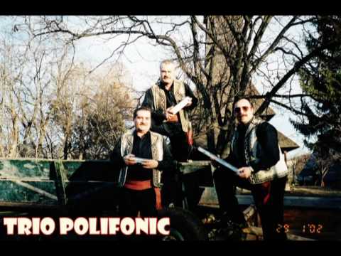 Trio Polifonic - Suita din Moldova