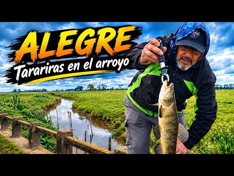  Arroyo escondido en medio del campo… ¡ A buscar tarariras !!! 🎣 