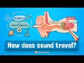 Science with Grammarsaurus - How does sound travel?