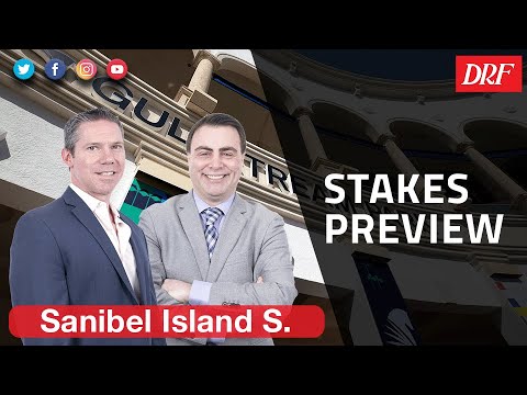 Sanibel Island Stakes Preview 2023