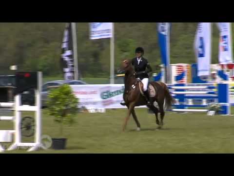 PAV Szenario 5j. Sieger Einlaufprf. Quali. Bundeschampionat 2015