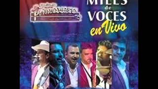 Renunciacion Conjunto Primavera