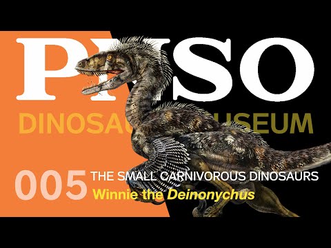 005 Winnie the Deinonychus | The Small Carnivorous Dinosaurs | PNSO DINOSAUR MUSEUM Season III