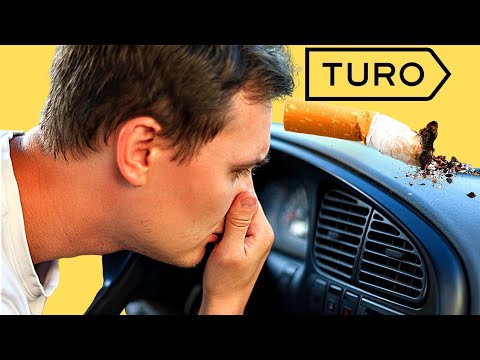Turo Cleaning Violation