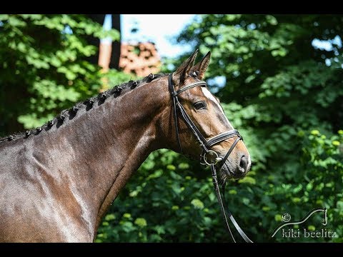 5 10 Herbstkönig Hirtentanz