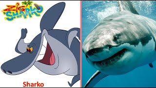 Download lagu Zig and Sharko Characters In Real Life 2021 π @JD Cars Toys mp3 Download lagu Zig and Sharko Characters In Real Life 2021 π @JD Cars Toys mp3
