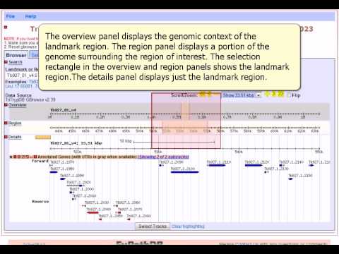 EuPathDB: GBrowse Overview