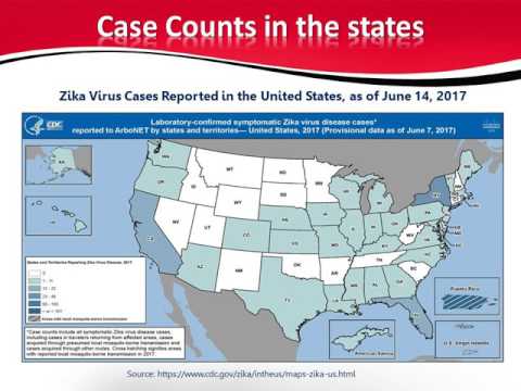 How Local Health Departments Can Support Families Impacted by Zika Virus