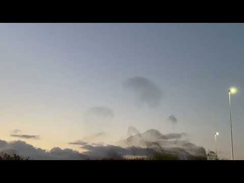 La magia degli storni su molentargius@Ferox-Vision