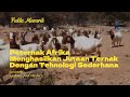 Jutaan Hewan Ternak Dikelola Seperti Ini Di Afrika Kamu Pasti Kaget Trisakti Bird Farm