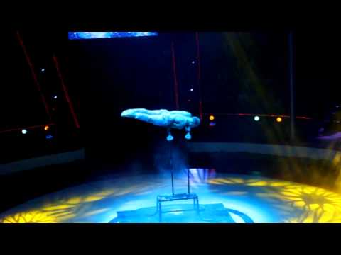 Attila Fabian handstand @ Capital Circus of Budapest