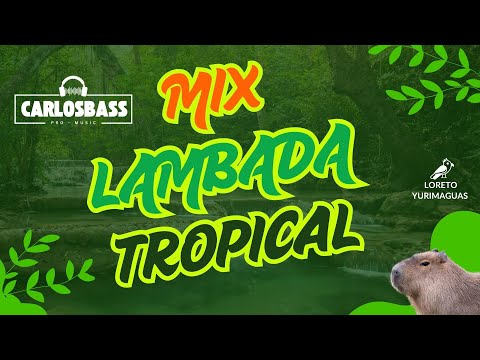 MIX LAMBADA TROPICAL (PAPASITO,LINDA CABA,MARGARITA ZARATE)   DJCARLOSBASS