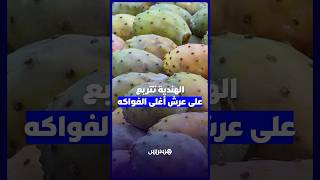 تحولت لفاكهة الأغنياء.. الهندية تتربع على عرش أغلى الفواكه thumbnail