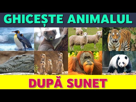 🐾 Ghicește animalul după sunet 🔊🤔