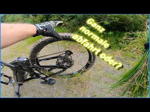 GRAS im REIFEN? | Neuer Flowtrail Siegen 2021