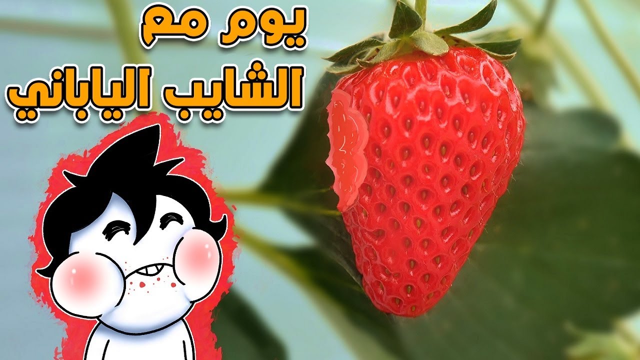 يوم مع الشايب الياباني اوكازاكي سان 👴