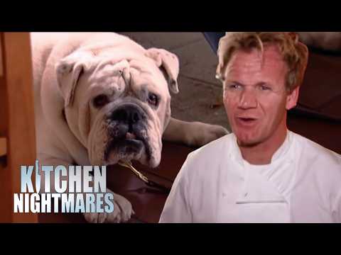 Gordon Feeds His Lunch To A DOG