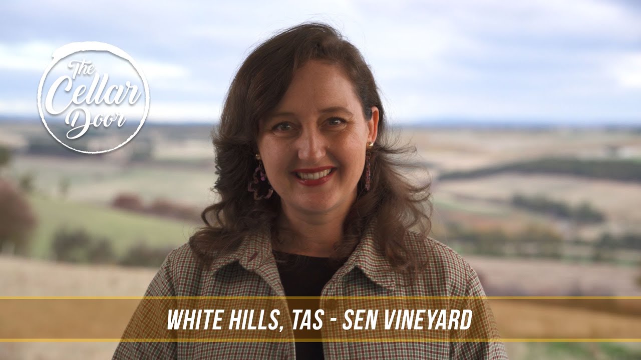 Unveil the rhythmic rows of vineyards, the mesmerizing dance of wine pouring, intimate tasting setups, and Marlborough's breathtaking landscapes adorned with majestic mountains and lush greenery.