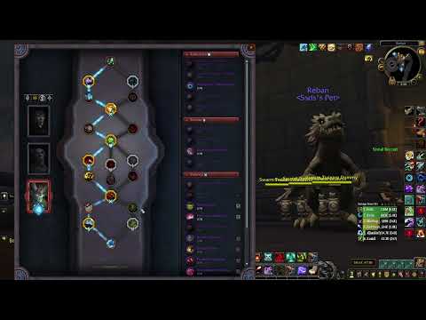 Rank 1 BM Hunter 9.2.5 Guide