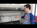 Gummy Bear Copy