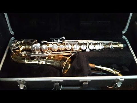 🎷(Hey, Ho! Nobody's Home)By "Alto Saxophone" S1 E8 Song 49 Page 11