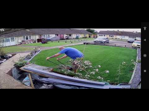 Daily Cut with #BoschAHM38G Manual #garden #lawn Mower at 45mm height of cut #lawncare cctv