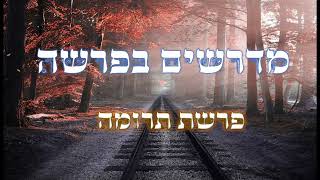 נקודות בפרשת השבוע פרשת תרומה | הגר"י צמח    =-  מבית מדרשו של רבינו הגאון הינוקא שליט"א