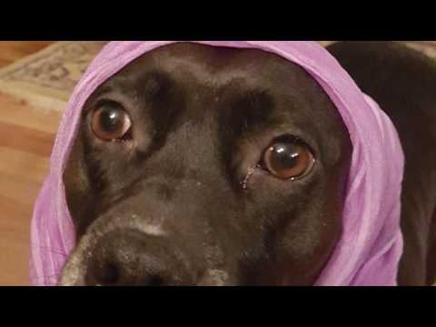 Weather or Knot Day 2