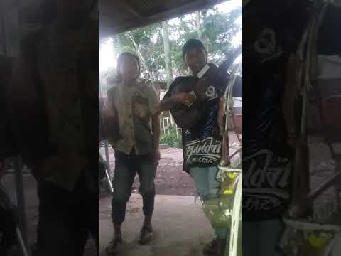 Pengamen bondowoso kreatif reng tak endik