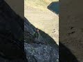Murray S Route Third Pitch Dow Crag Lake District Rock Climbing